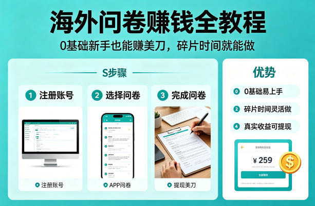 海外问卷賺钱全教程，0基础新手也能賺美刀，碎片时间就能做云辞狐 ∞ 稳定更新轻创终点站
