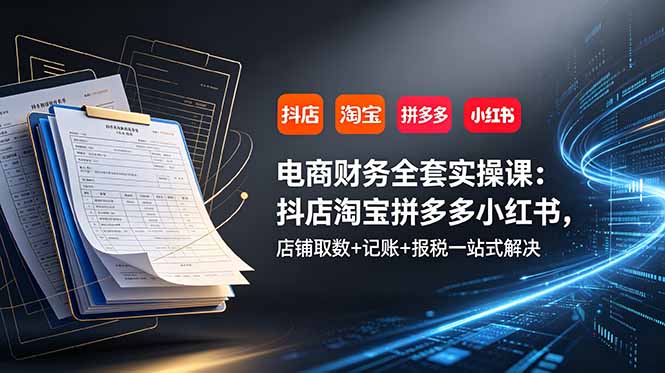 电商财务全套实操课：抖店淘宝拼多多小红书，店铺取数+记账+报税一站式解决云辞狐 ∞ 稳定更新轻创终点站