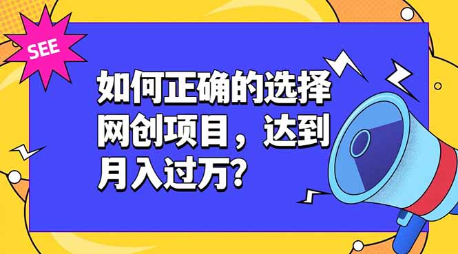 如何正确的选择网创项目，达到月入过万？，本课程教你正确选择项目。云辞狐 ∞ 稳定更新轻创终点站