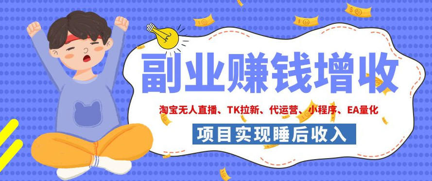 2026年多个真实落地副业项目，手把手带你搭建被动收入管道(淘宝无人直播、海外TK拉新、CSGO饰品交易、去水印小程序等)【揭秘】云辞狐 ∞ 稳定更新轻创终点站