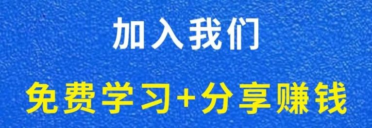白菜价解锁20000+N个赚钱机会，加入轻创终点站会员，全站资源免费学习。