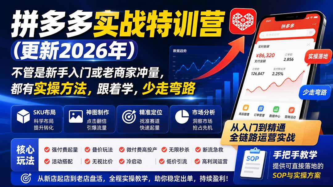 拼多多实战特训营(更新0920-橙心云网创