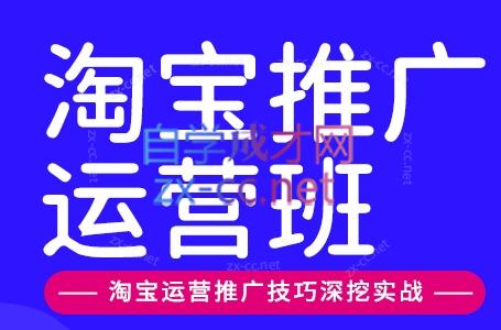 美迪电商·淘宝高级运营班+推广运营班(更新9月)-橙心云网创