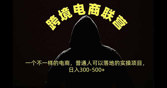 跨境电商联营,一个不一样的电商,普通人可操作日入300-500+-橙心云网创