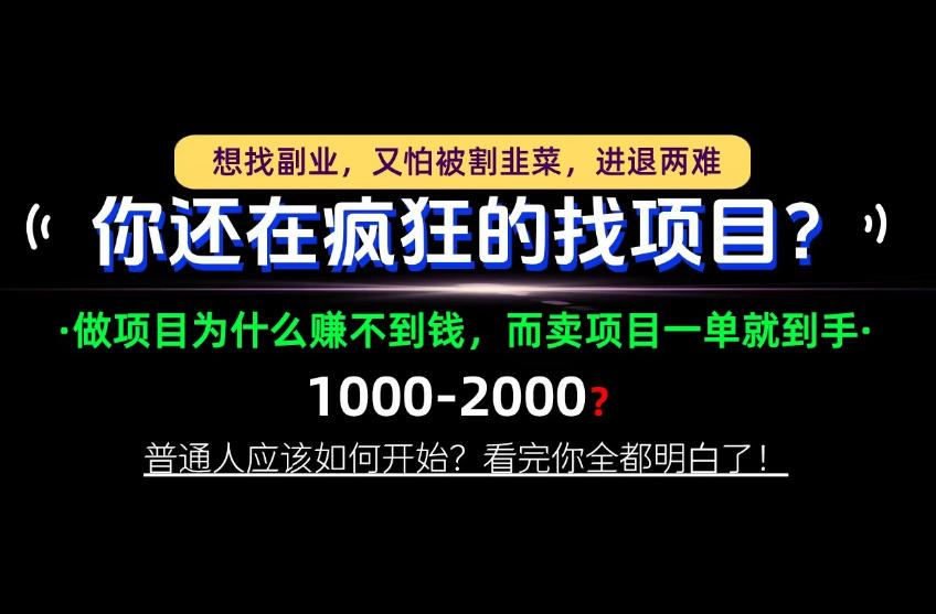 你还在疯狂的找项目？别傻了！卖项目才是真正的一本万利！怎么做，看完你全都明白！【揭秘】-橙心云网创