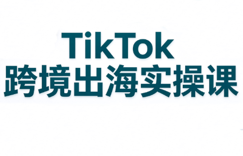 彭老师·TikTok跨境出海实操课-橙心云网创