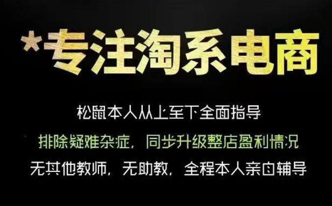 松鼠会电商VIP课程，从基础布局到高阶优化，助你掌握淘宝运营逻辑，提升店铺流量与转化(更新1029)-橙心云网创