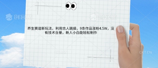 AI养生赛道新玩法，10条作品涨粉5.2W，操作简单，新人小白能轻松制作-橙心云网创