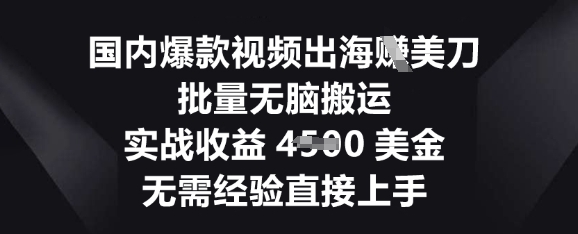 国内爆款视频出海挣美刀，批量无脑搬运，实战收益4.5k，无需经验直接上手云辞狐 ∞ 稳定更新轻创终点站