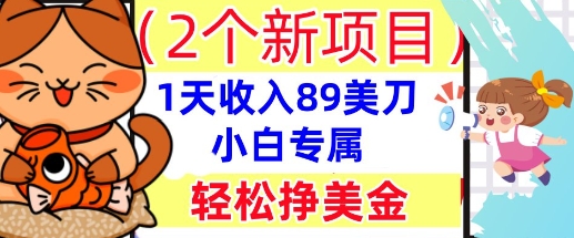 2个新项目，轻松挣美金， 1天收入89美刀，小白专属，干货分享-橙心云网创