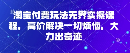 淘宝付费玩法无界实操课程，高价解决一切烦恼，大力出奇迹云辞狐 ∞ 稳定更新轻创终点站
