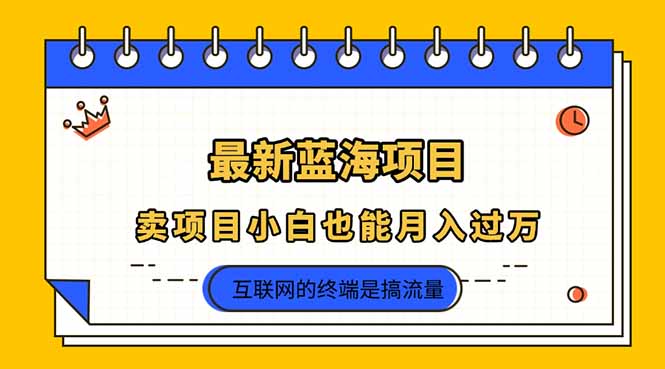 (14289期)2025年最新蓝海项目,卖项目小白也能月入过万-橙心云网创