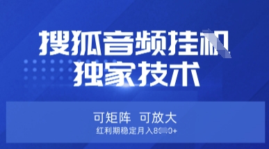 【搜狐音频挂G】独家技术,可矩阵可放大,红利期稳定月入8k【揭秘】-橙心云网创