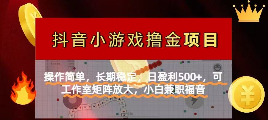 (14290期)【抖音小游戏发行人计划项目】操作简单,长期稳定,日盈利500+,可工作...-橙心云网创
