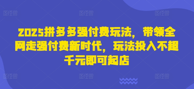 2025拼多多强付费玩法，带领全网走强付费新时代，玩法投入不超千元即可起店-橙心云网创