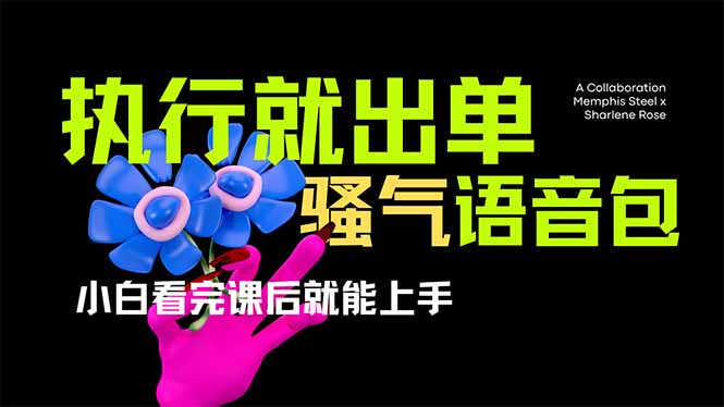 (14170期)爆火全网的开车导航骚气语音包,只要执行就出单,小白看完课程就能实操...-橙心云网创