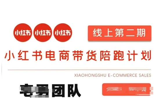 小红书电商带货课2期,月利润20个的小红书电商的有货源,无货源,虚拟产品,付费投流等整套玩法-橙心云网创